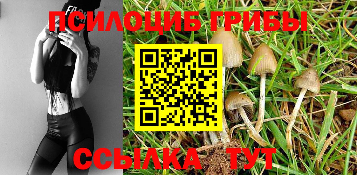 Псилоцибиновые грибы мухоморы  Вход с VPN  как найти наркотики  Жуковский 