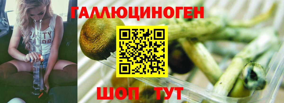 Галлюциногенные грибы MAGIC MUSHROOMS Жуковский